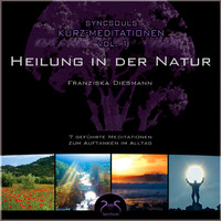 SyncSouls Kurz-Meditationen, Vol. 1 - Heilung in der Natur by Toni Cottura